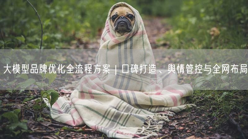 大模型品牌优化全流程方案｜口碑打造、舆情管控与全网布局