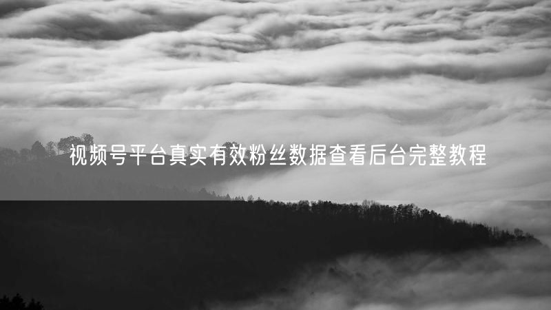 视频号平台真实有效粉丝数据查看后台完整教程
