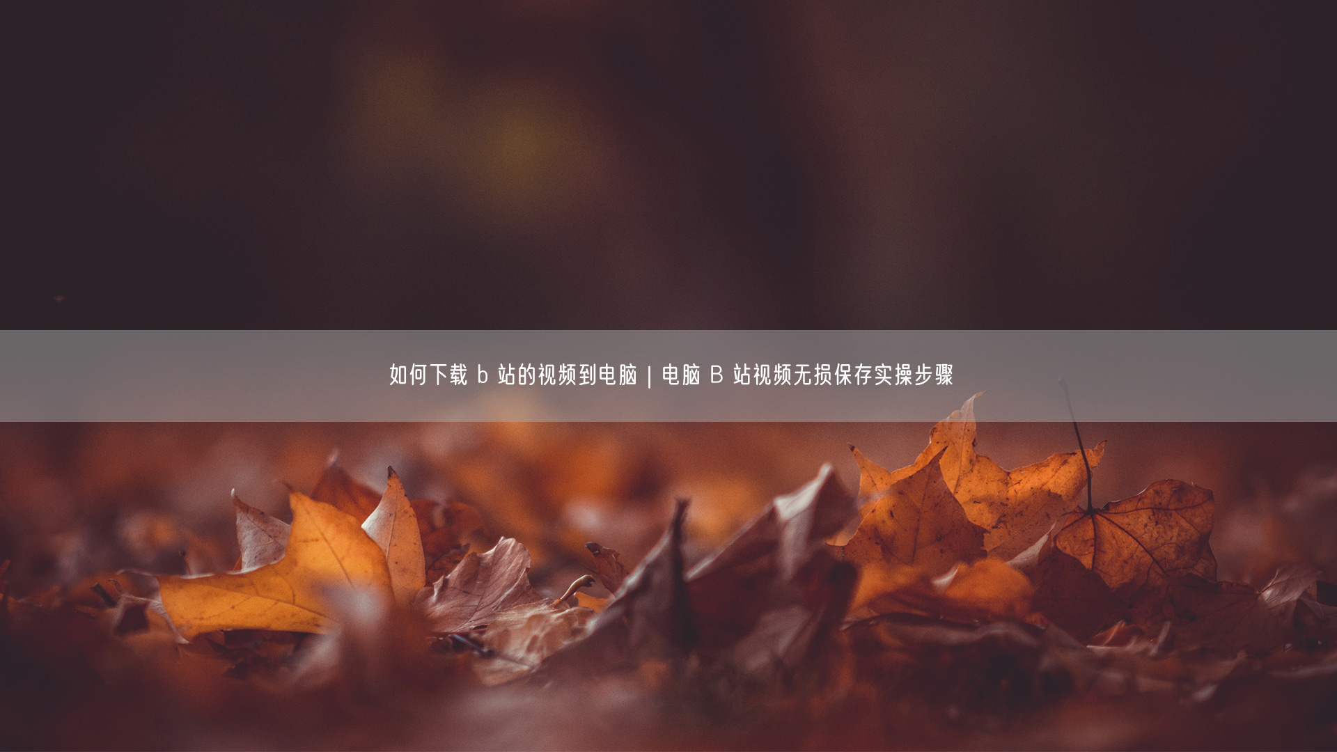 如何下载 b 站的视频到电脑｜电脑 B 站视频无损保存实操步骤